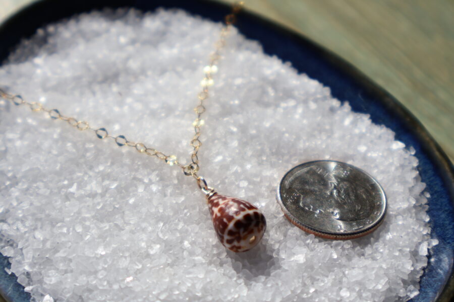 Cone Shell Necklace - Image 4