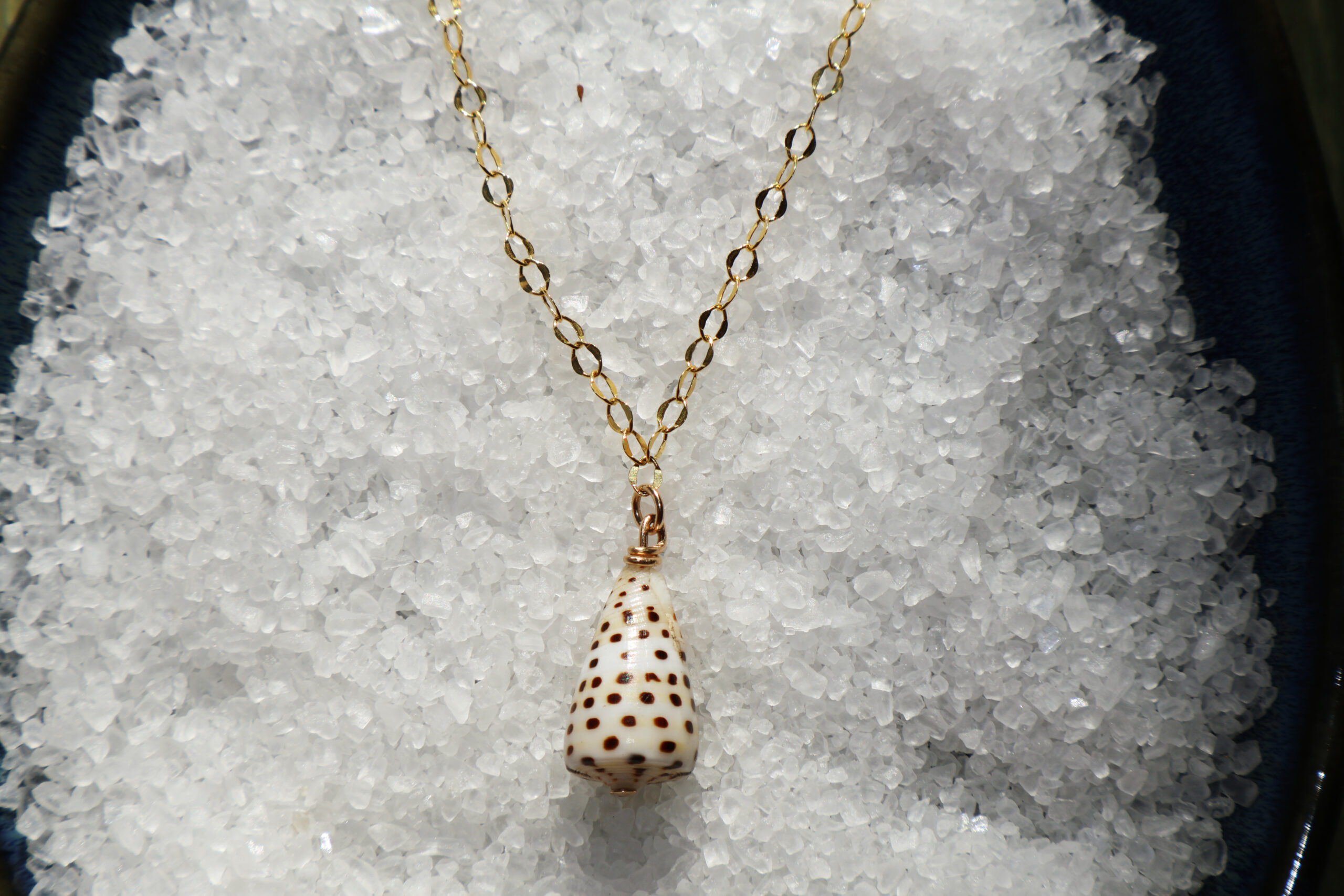 Mystery Cone shell Necklace - Image 11