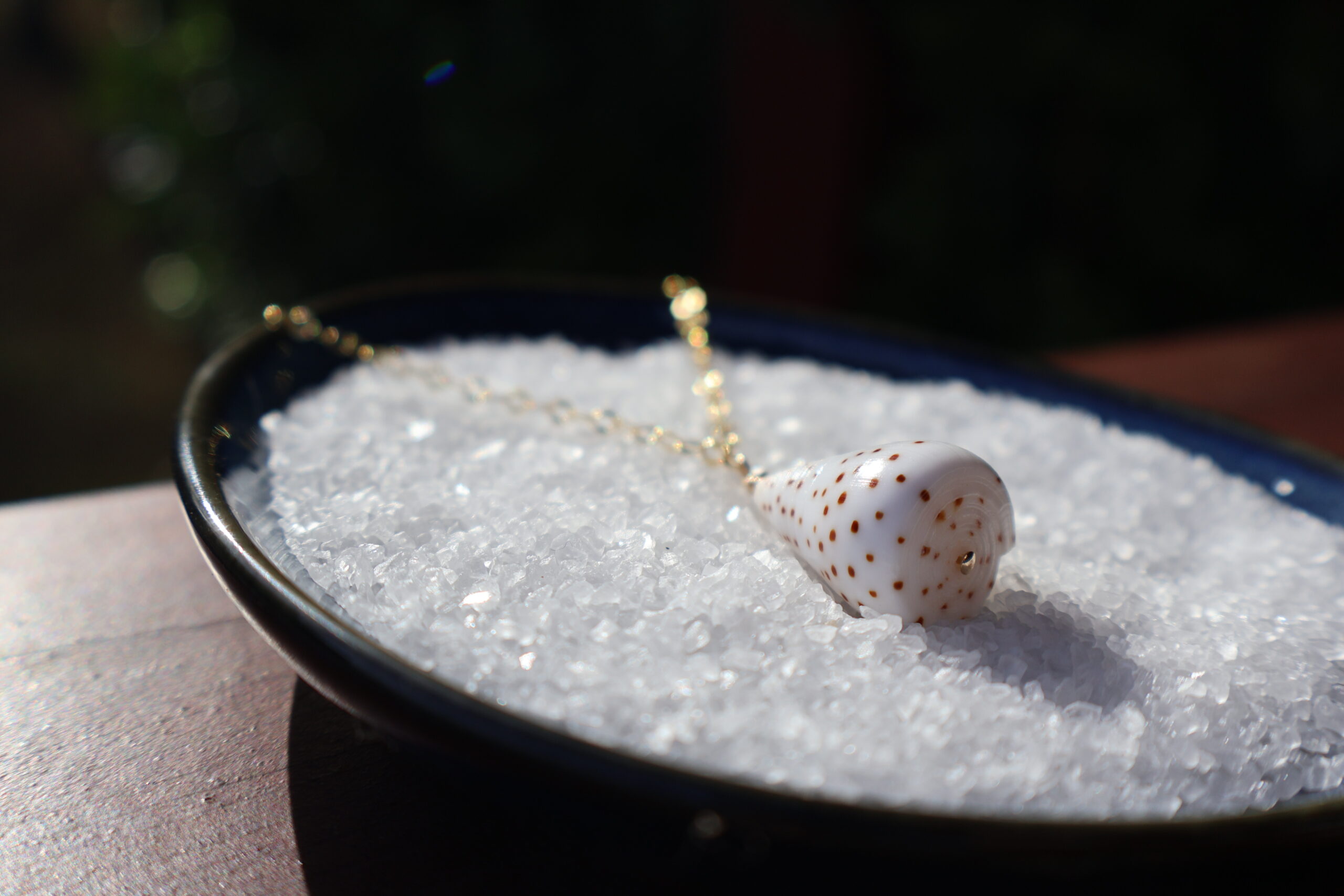 Mystery Cone shell Necklace - Image 8