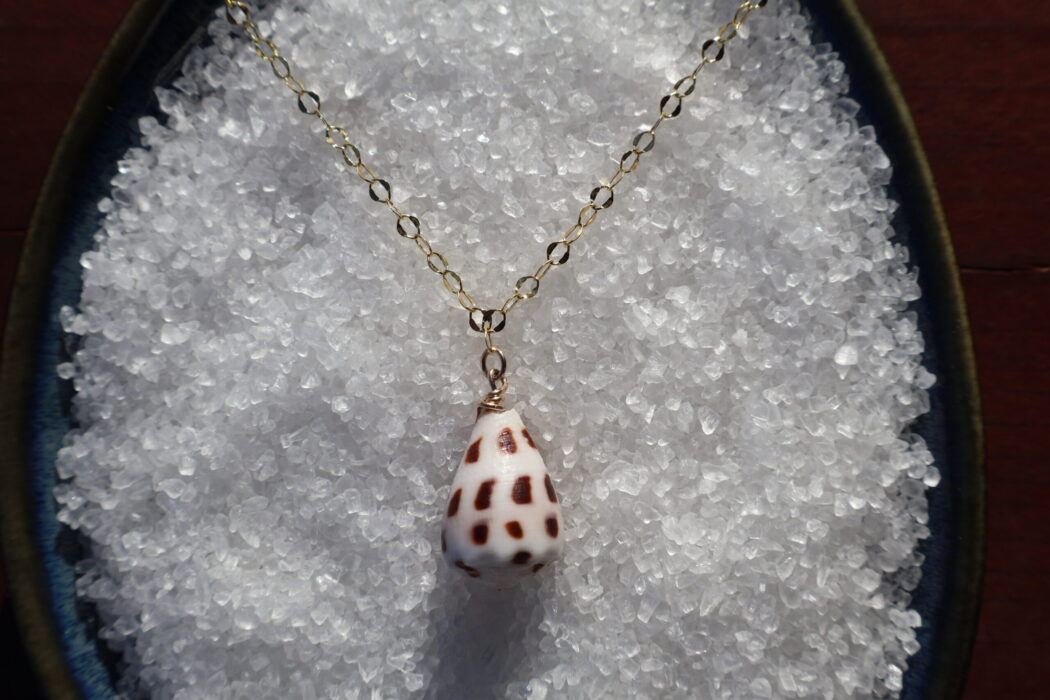 Mystery Cone shell Necklace - Image 7