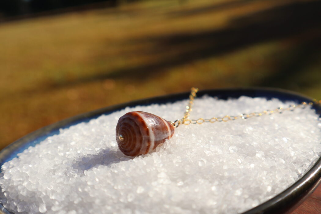 Mystery Cone shell Necklace - Image 5