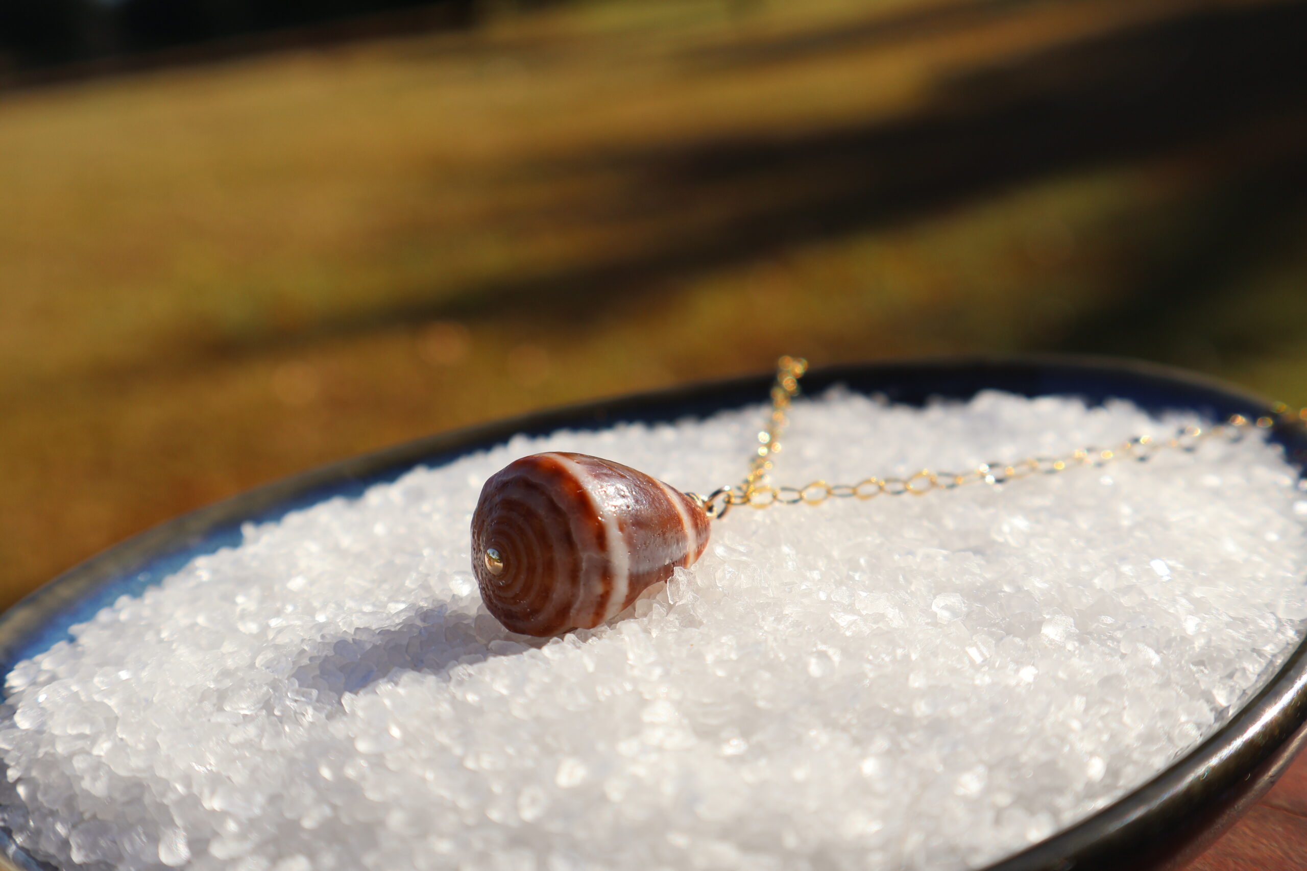 Mystery Cone shell Necklace - Image 5
