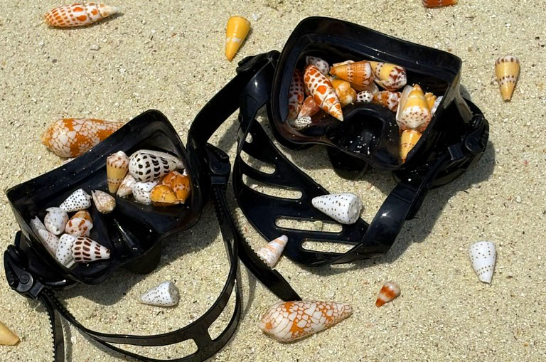 Mystery Cone shell Necklace